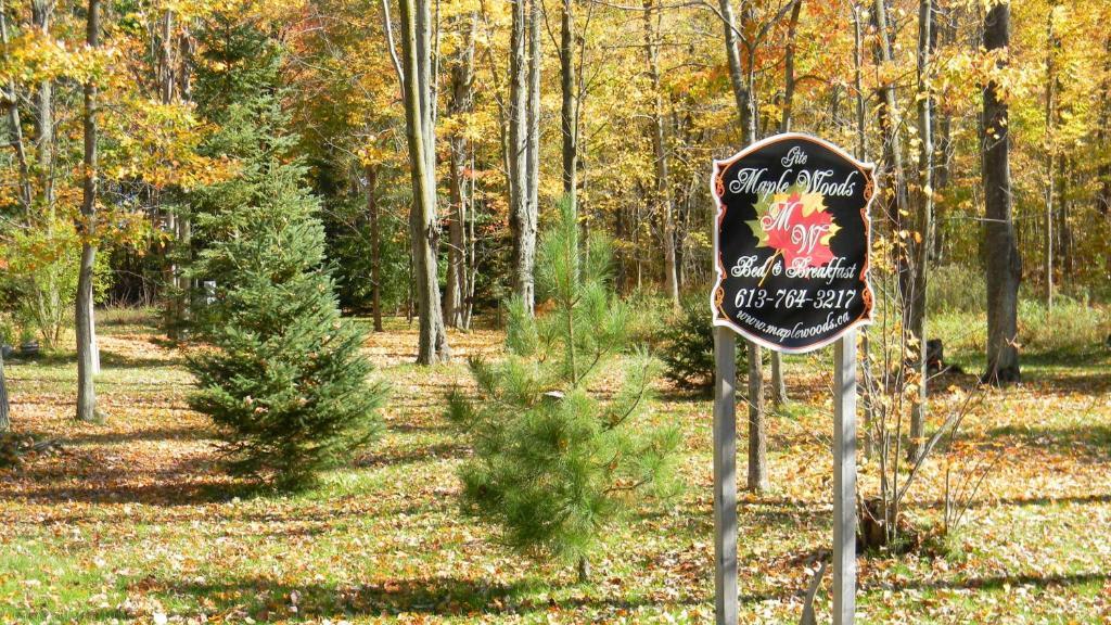 Maple Woods Bed and Breakfast Casselman Exteriör bild